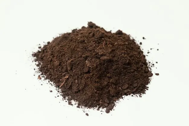 Composición del Suelo